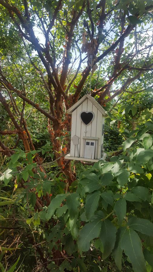 Deeside Manor Bed and Breakfast Stabannan Εξωτερικό φωτογραφία